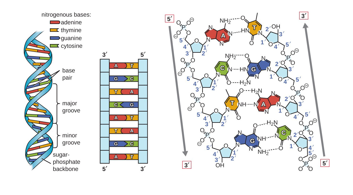 Pasted image 20250220184809.png