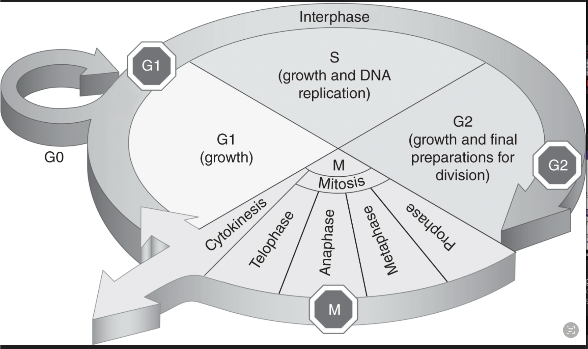 Pasted image 20250220185622.png