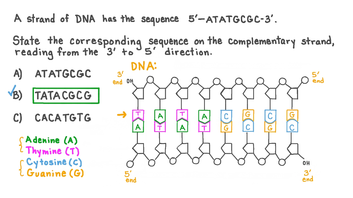 Pasted image 20250306183032.png