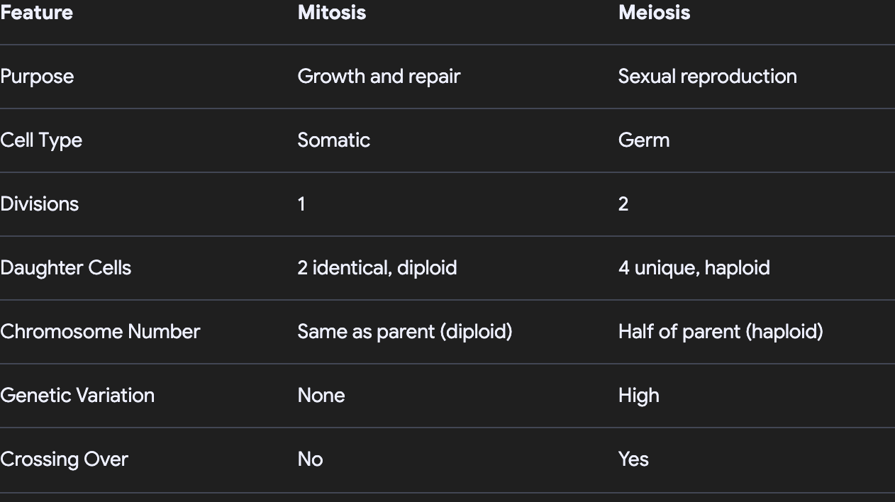 Pasted image 20250306192146.png