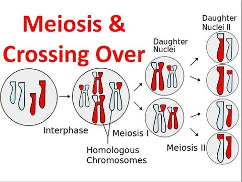 Pasted image 20250306192336.png